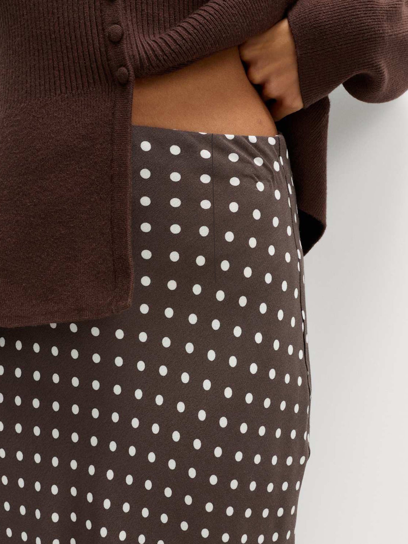 Polka Dot Midi Skirt in Brown - back view
