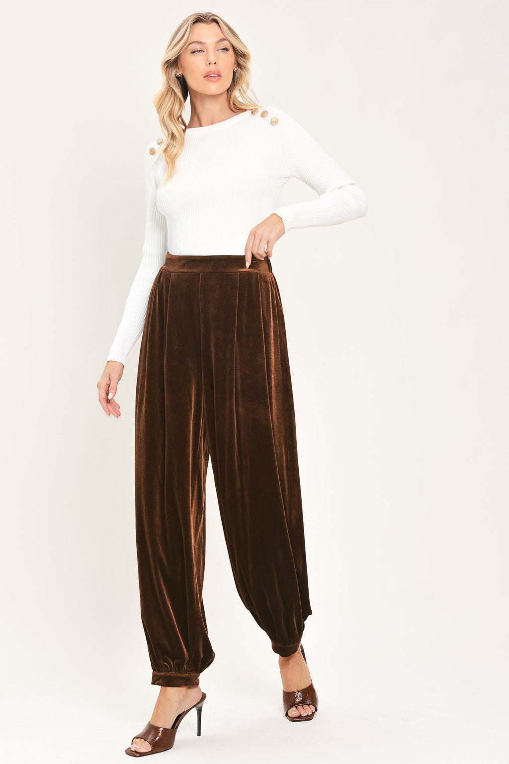 Brown Velvet Harem Pants in brown, styled view