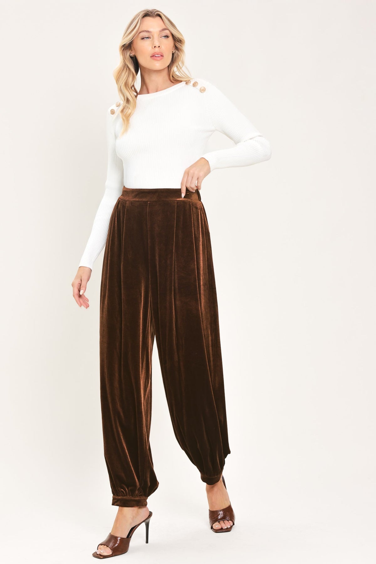 Brown Velvet Harem Pants in brown, styled view