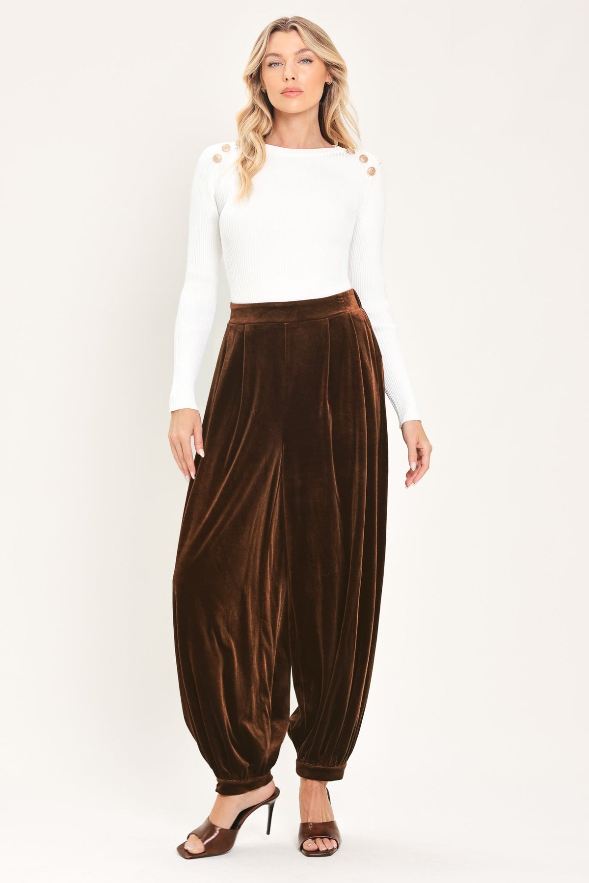 Brown Velvet Harem Pants in brown, back view