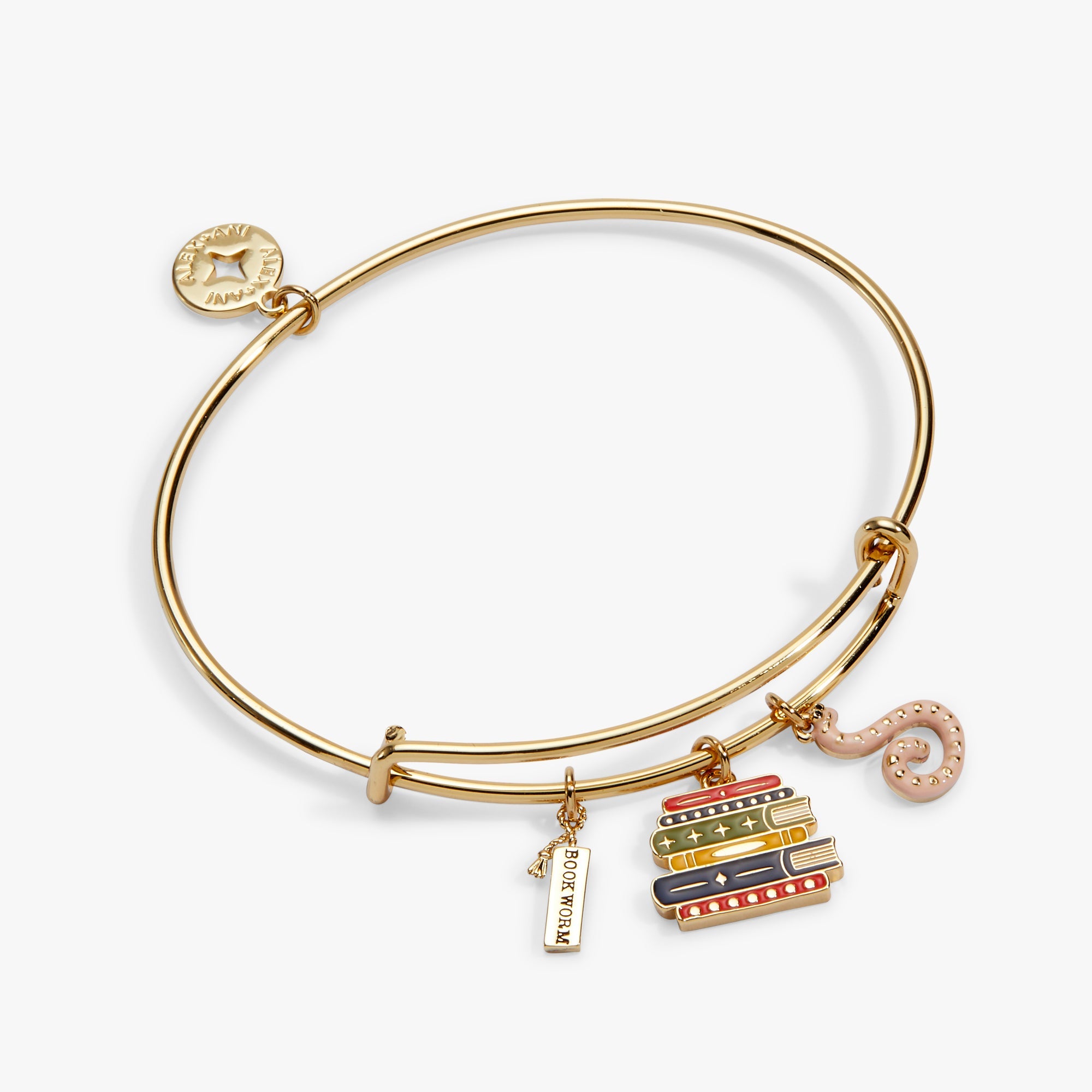 Book Club Multicharm Bangle close-up