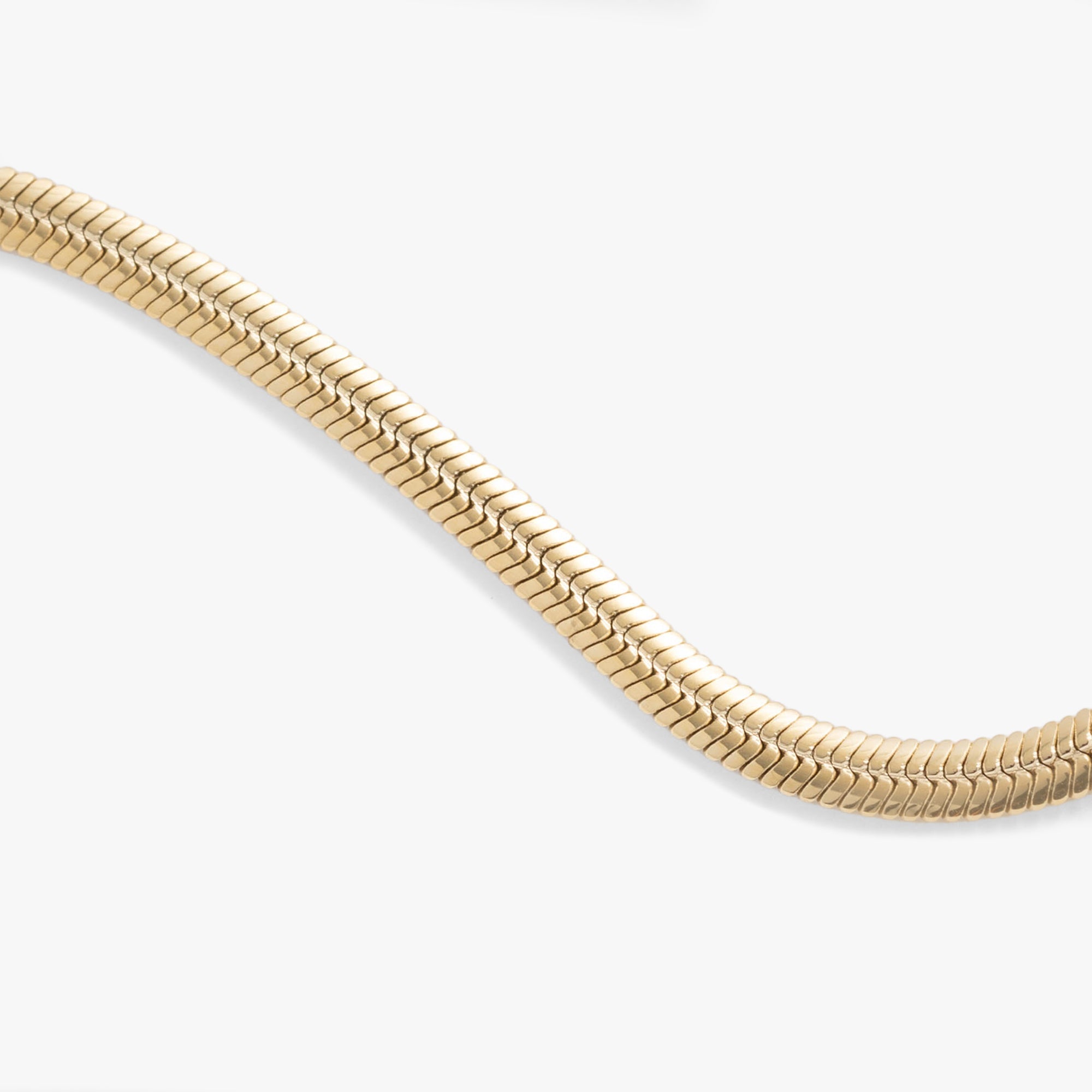 Everyday Herringbone Chain Bracelet in Stainless Steel Silver